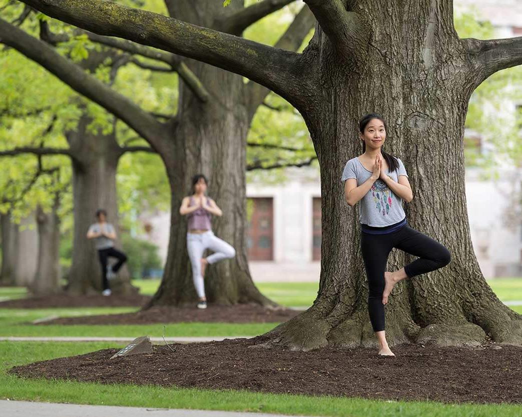 网赌论坛有哪些的三个学生站在三棵树前做瑜伽树式
